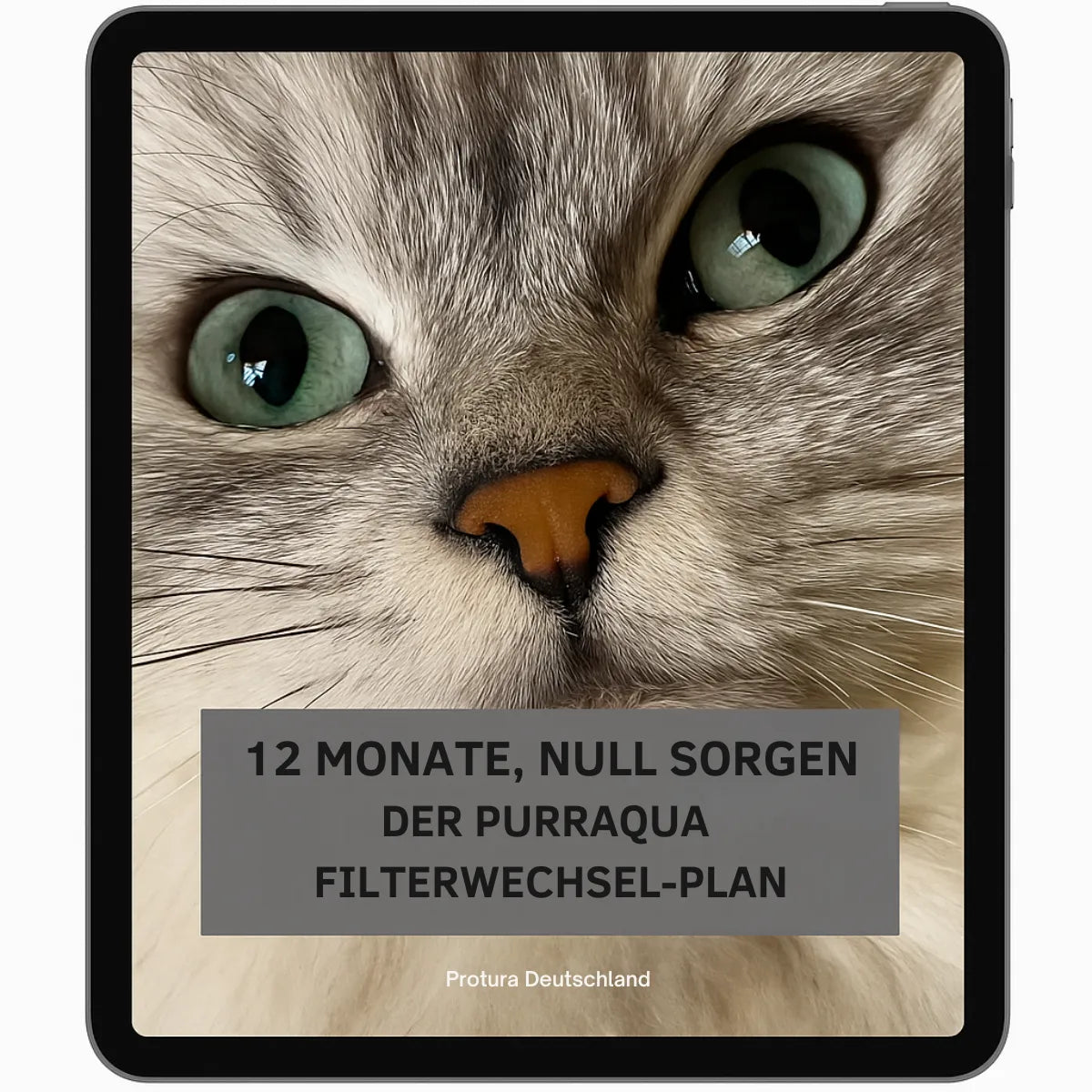 12 Monate. Filterwechsel-Plan