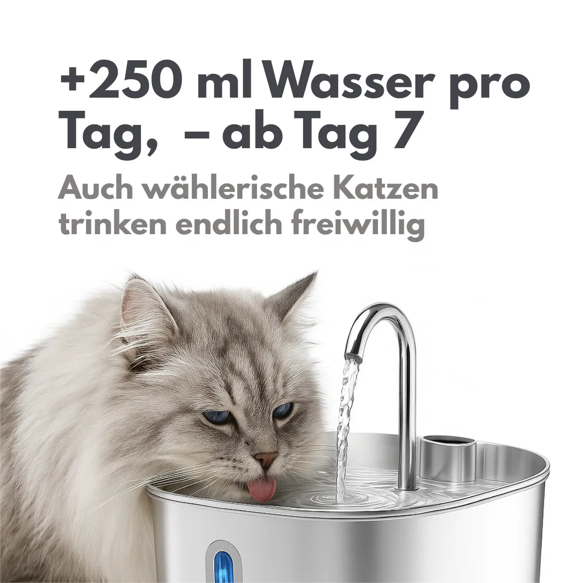 Nierenerkrankungen stoppen – bevor es zu spät ist