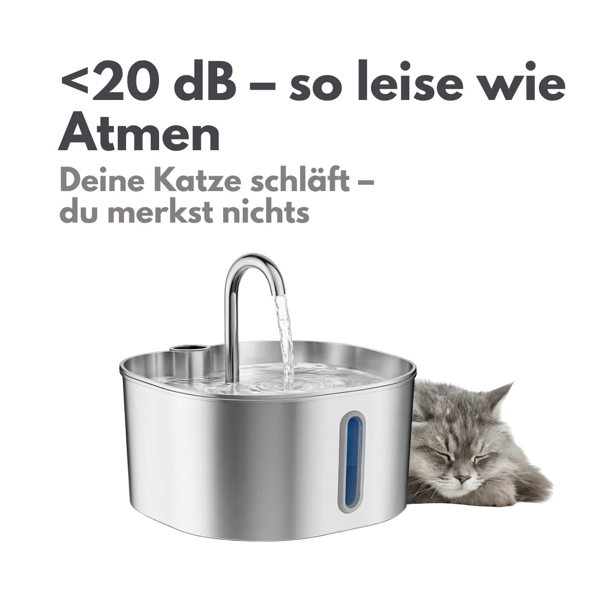 Nierenerkrankungen stoppen – bevor es zu spät ist