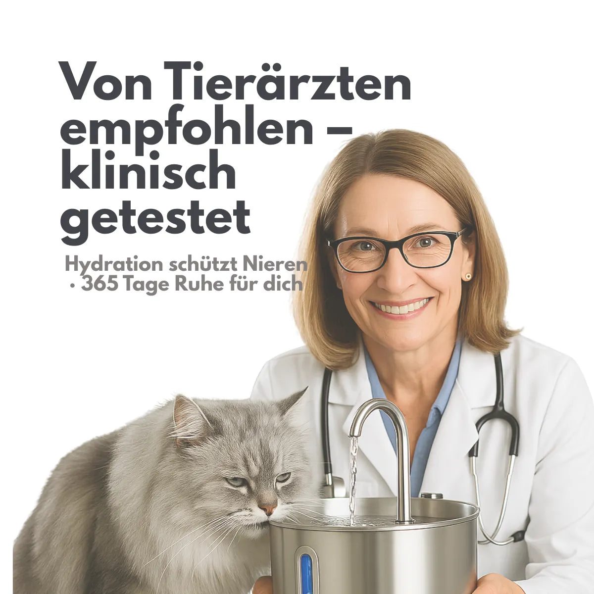 Nierenerkrankungen stoppen – bevor es zu spät ist