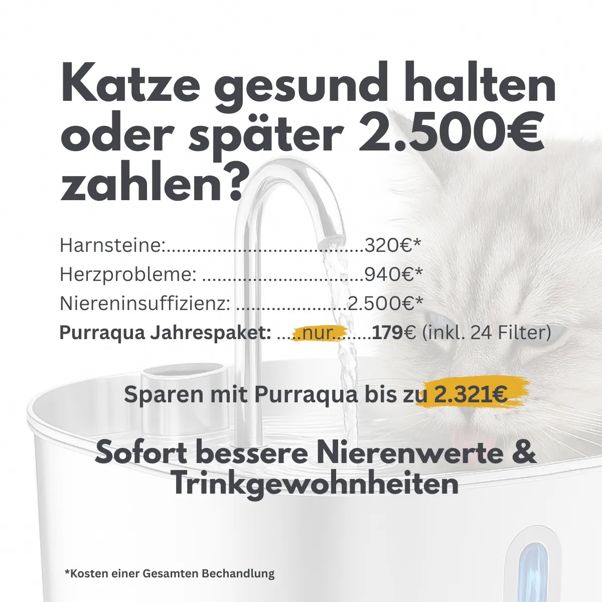 Nierenerkrankungen stoppen – bevor es zu spät ist