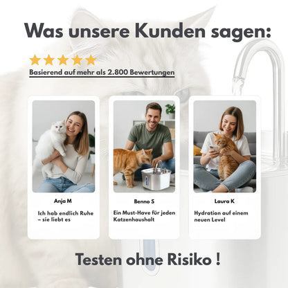 Nierenerkrankungen stoppen – bevor es zu spät ist