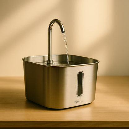 Nierenerkrankungen stoppen – bevor es zu spät ist